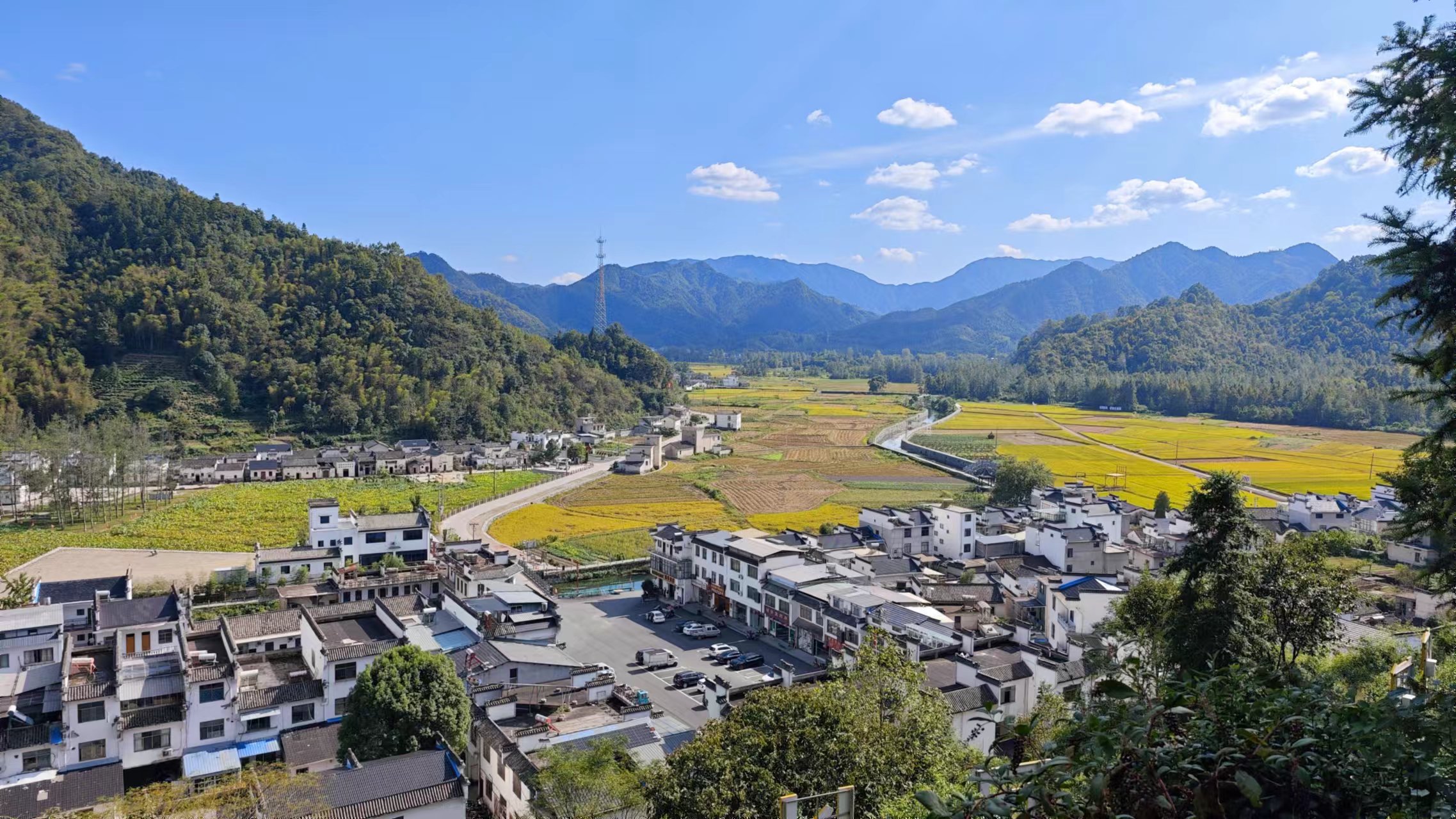 毕业旅行｜皖南自驾DAY6 - 柯村